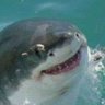 *splish splash* haiiii *splash* haiiii :333 的头像