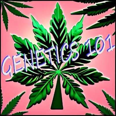 GENETICS 101's profile picture