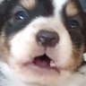 Profilbild von moxman gg