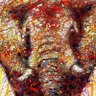 Фото профиля Kader🐘⚖️⚖️🇨🇮⭐⭐⭐