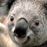happy's profile picture