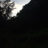 ddd's profile picture
