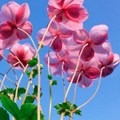 jixggz12345's profile picture