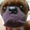 Profilbild von じぇにこ