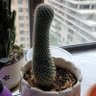 Фото профиля 文刀