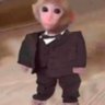 Jusuf's profile picture
