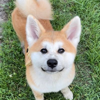 ç§ç°ç¬ã«ãã§ âÌœÍéžå¥¥ïŒæºå€ªïŒçœéª ðŸ's profile picture