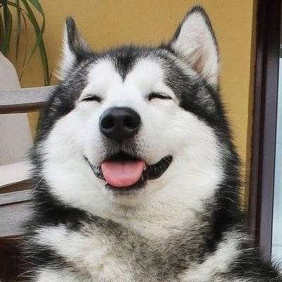 Putri🍒's profile picture