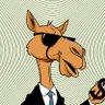 Chart Camel 的头像