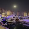 بومحمد 🇶🇦 的头像