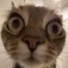 *°•~InterVibez~•°* profil fotoğrafı