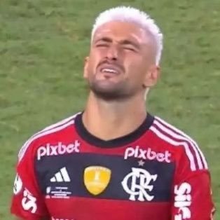 arraxca100's profile picture