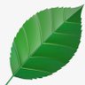 Green Leaf (revived) 的头像