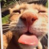 Paladina 的头像