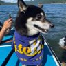 おちむちゃん（くろまる） profil fotoğrafı