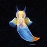 John Dowdell's profile picture