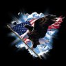 Фото профиля Voice of the Patriot