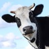 Profilbild von まコーチ🐮