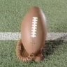 What a sports nut, huh?'s profile picture