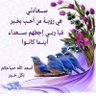 اليمن اغلى's profile picture