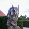 Фото профиля Observant Owl