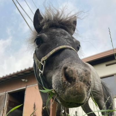神田明神's profile picture