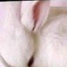 jun's profile picture