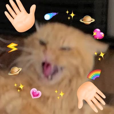 o3_9o00's profile picture