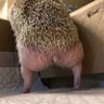 Анастасия Ерохина 的头像