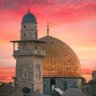 Фото профиля Sinan