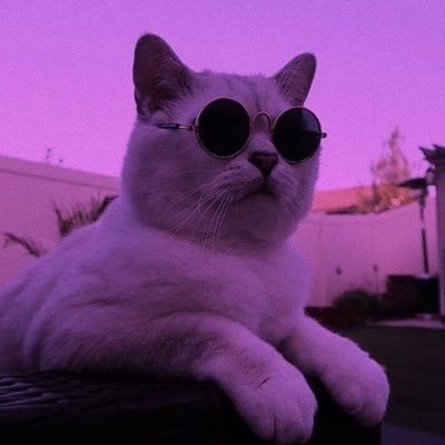 visionsonlyy's profile picture