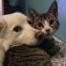 Rocky & Fifi 的头像