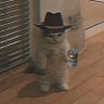 Profilbild von MoMo