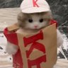 珑珑 的头像