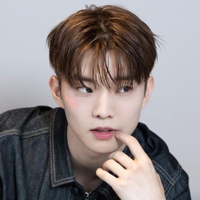 레디's profile picture