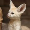 Alexender profil fotoğrafı