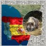 Profilbild von Español de a pie 💚🇪🇸