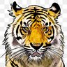 Tigerwise's profile picture
