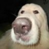 Profilbild von Matu