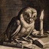 TheWiseOwl profil fotoğrafı