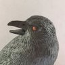 Raven Yudansha's profile picture