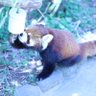 てすと's profile picture