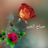 Profilbild von عبد الرحمن علي