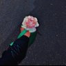 ز..زاهيهـ..💜 profil fotoğrafı