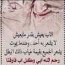 فلك نوح 的头像