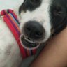 Patara's profile picture