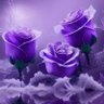 زهرة البنفسج's profile picture