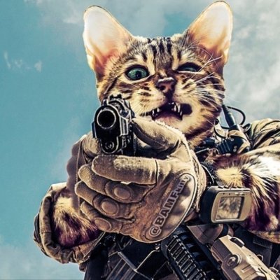 brewdoggy's profile picture