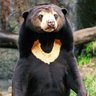 Profilbild von awoooooo