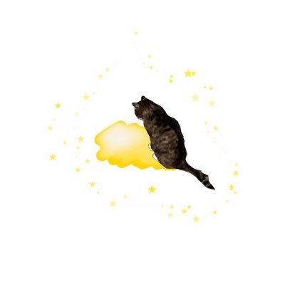 bbangdolC's profile picture
